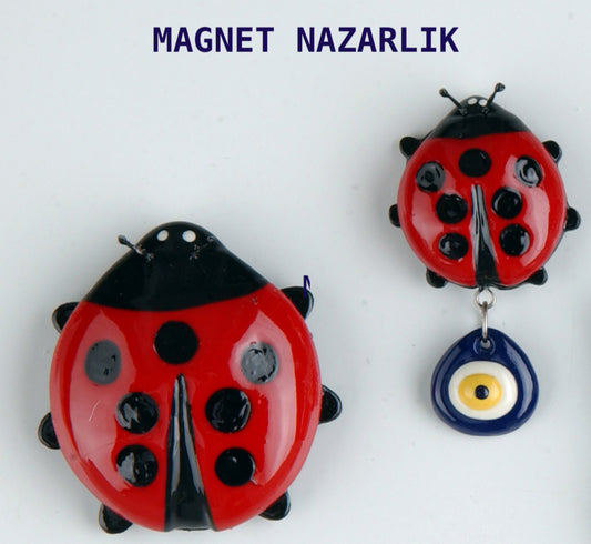 UĞUR BÖCEĞİ
