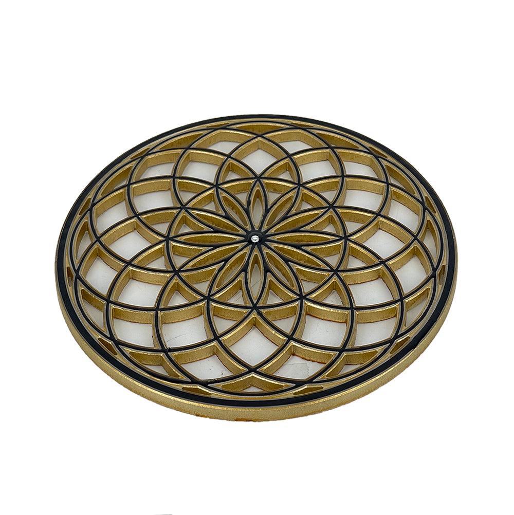 TORUS